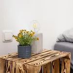 Ξενοδοχείο με διαμερίσματα Am Neuen Theater - Parkplatz Nach Verfuegbarkeit - Altstadt - Kueche - Wifi - Powered By Ko-living 4*