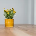 Ξενοδοχείο με διαμερίσματα Am Neuen Theater - Parkplatz Nach Verfuegbarkeit - Altstadt - Kueche - Wifi - Powered By Ko-living Halle (Saale)