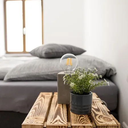 Am Neuen Theater - Parkplatz Nach Verfuegbarkeit - Altstadt - Kueche - Wifi - Powered By Ko-living شقة فندقية Halle (Saale)