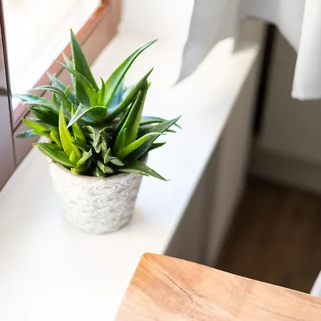 Am Neuen Theater - Parkplatz Nach Verfuegbarkeit - Altstadt - Kueche - Wifi - Powered By Ko-living