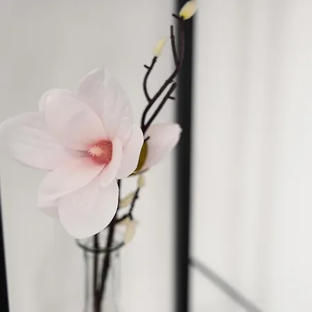 Am Neuen Theater - Altstadt - Zentral - Kueche - Wifi - Powered By Ko-living 4*