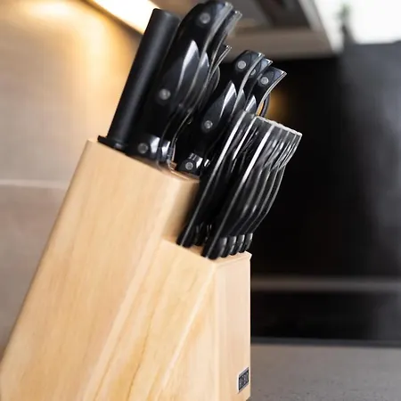 شقة فندقية Am Neuen Theater - Parkplatz Nach Verfuegbarkeit - Altstadt - Kueche - Wifi - Powered By Ko-living 4*