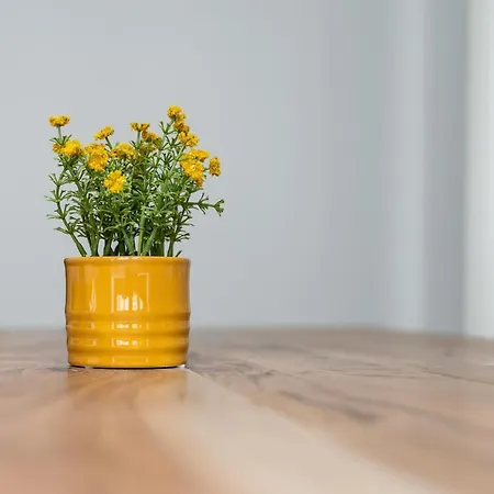 شقة فندقية Am Neuen Theater - Parkplatz Nach Verfuegbarkeit - Altstadt - Kueche - Wifi - Powered By Ko-living Halle (Saale)