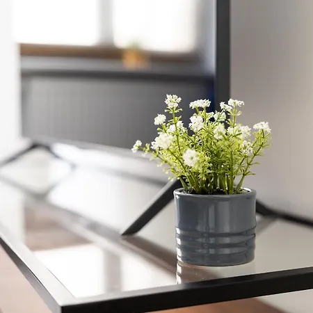 Am Neuen Theater - Parkplatz Nach Verfuegbarkeit - Altstadt - Kueche - Wifi - Powered By Ko-living شقة فندقية 4*