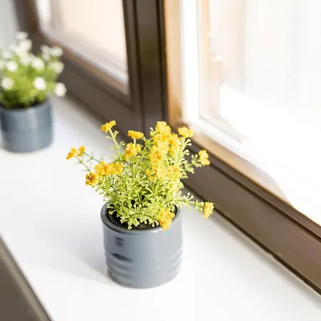 شقة فندقية Am Neuen Theater - Parkplatz Nach Verfuegbarkeit - Altstadt - Kueche - Wifi - Powered By Ko-living Halle (Saale)