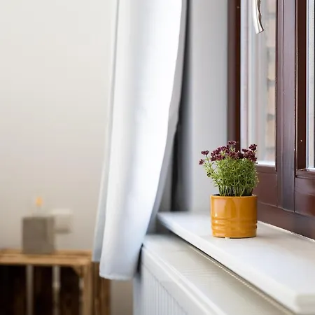 Hotel apartamentowy Am Neuen Theater - Altstadt 4*