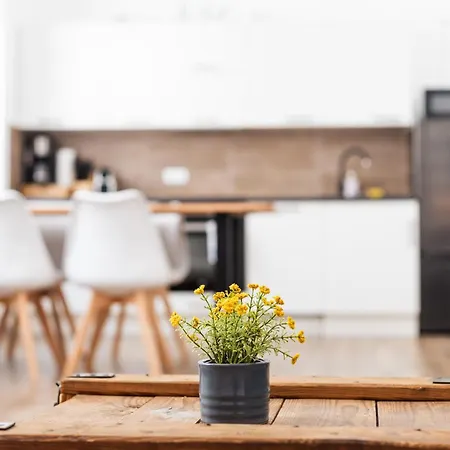 شقة فندقية Am Neuen Theater - Parkplatz Nach Verfuegbarkeit - Altstadt - Kueche - Wifi - Powered By Ko-living