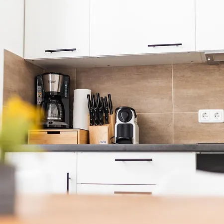 Aparthotel Apartments Am Neuen Theater - Altstadt - Kueche - Wifi Halle (Saale)