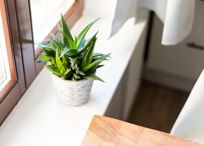 Am Neuen Theater - Parkplatz Nach Verfuegbarkeit - Altstadt - Kueche - Wifi - Powered By Ko-living