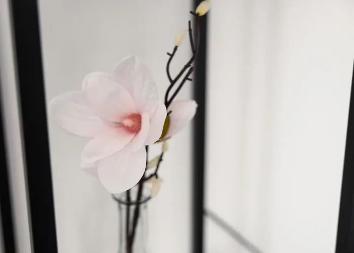 Am Neuen Theater - Parkplatz Nach Verfuegbarkeit - Altstadt - Kueche - Wifi - Powered By Ko-living 4*