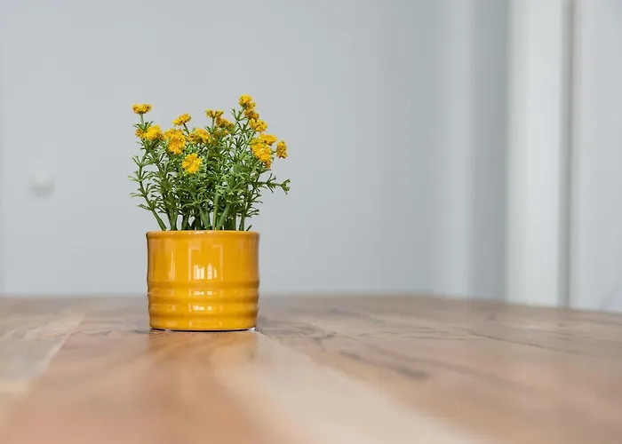 アパートホテル Am Neuen Theater - Parkplatz Nach Verfuegbarkeit - Altstadt - Kueche - Wifi - Powered By Ko-living ハレ