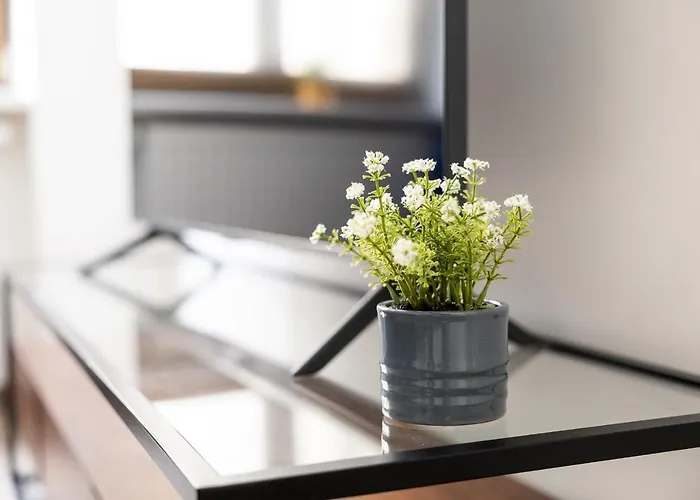 Am Neuen Theater - Parkplatz Nach Verfuegbarkeit - Altstadt - Kueche - Wifi - Powered By Ko-living アパートホテル 4*