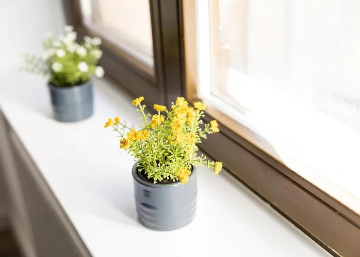 アパートホテル Am Neuen Theater - Parkplatz Nach Verfuegbarkeit - Altstadt - Kueche - Wifi - Powered By Ko-living ハレ