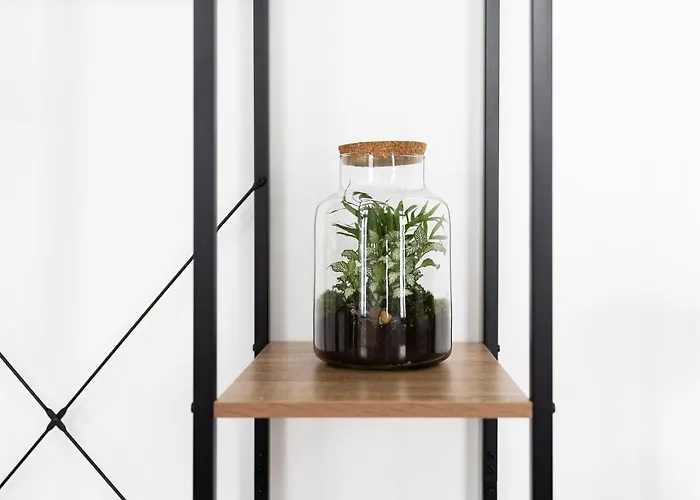 アパートホテル Am Neuen Theater - Parkplatz Nach Verfuegbarkeit - Altstadt - Kueche - Wifi - Powered By Ko-living ハレ