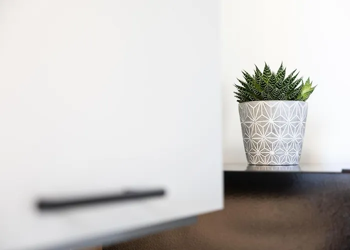 Am Neuen Theater - Parkplatz Nach Verfuegbarkeit - Altstadt - Kueche - Wifi - Powered By Ko-living 4* ハレ